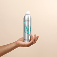 iconic volume | texture spray